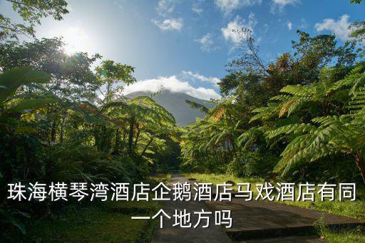 珠海橫琴灣酒店，請問珠海長隆橫琴灣酒店的房價大概多少