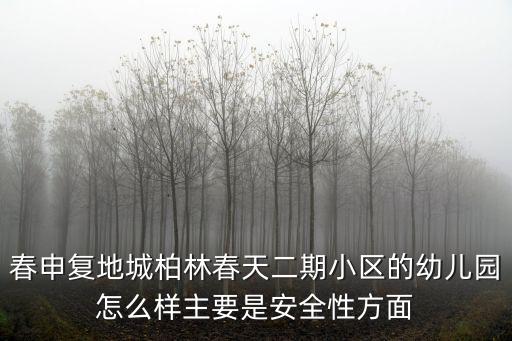 春申復地城柏林春天二期小區(qū)的幼兒園怎么樣主要是安全性方面