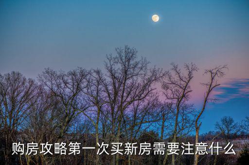 購房攻略第一次買新房需要注意什么