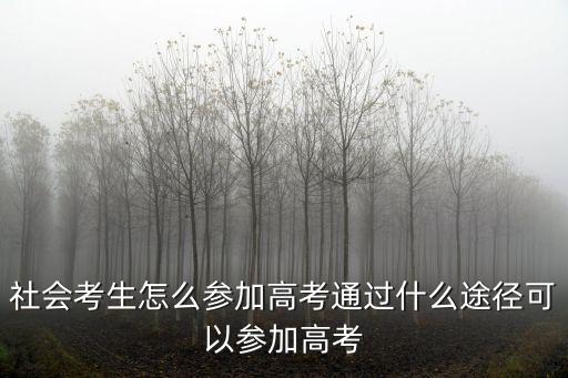 社會(huì)考生怎么參加高考通過什么途徑可以參加高考