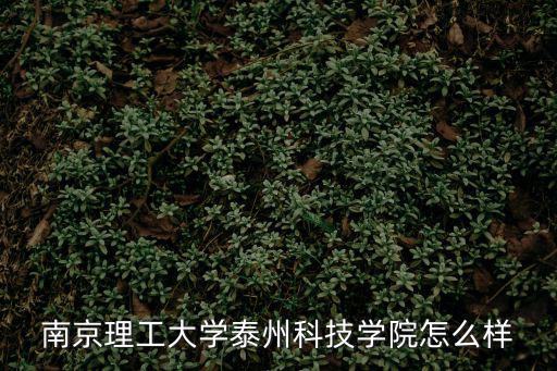 南京理工大學泰州科技學院怎么樣