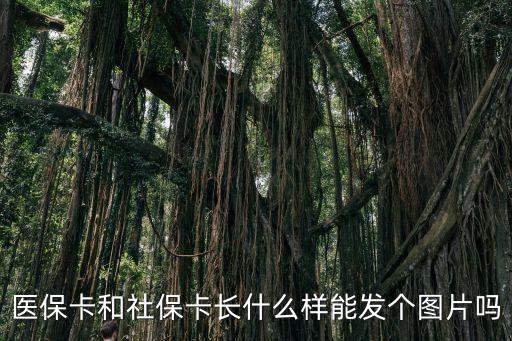 社保卡什么樣子，社保卡是什么