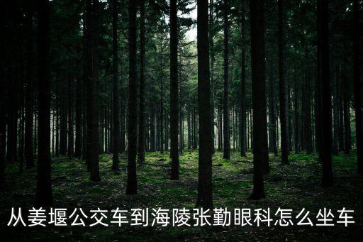 從姜堰公交車到海陵張勤眼科怎么坐車