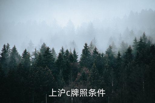 上海牌照需要什么條件，上滬c牌照條件