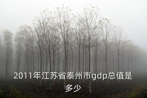 2011年江蘇省泰州市g(shù)dp總值是多少