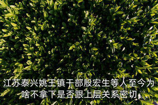江蘇泰興姚王鎮干部殷宏生等人至今為啥不拿下是否跟上層關系密切