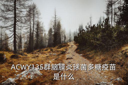 ACWY135群腦膜炎球菌多糖疫苗是什么