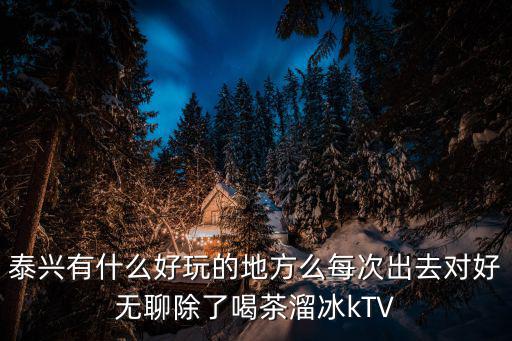 泰興有什么好玩的地方么每次出去對好無聊除了喝茶溜冰kTV