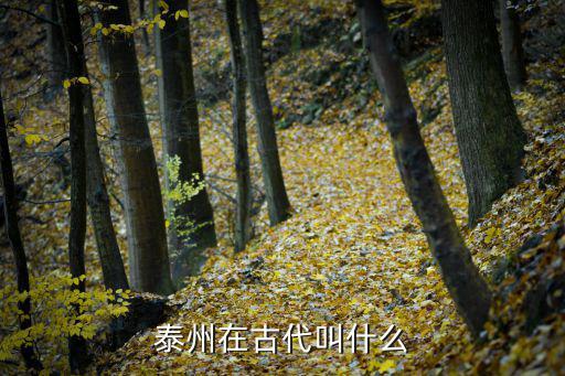 泰州在古代叫什么