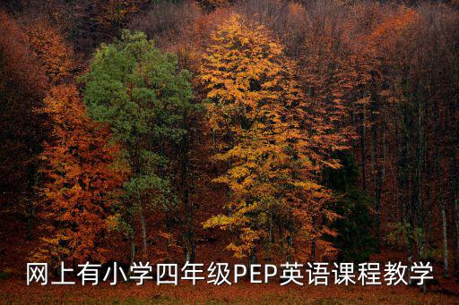 網上有小學四年級PEP英語課程教學