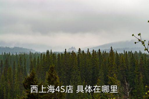西上海4S店 具體在哪里