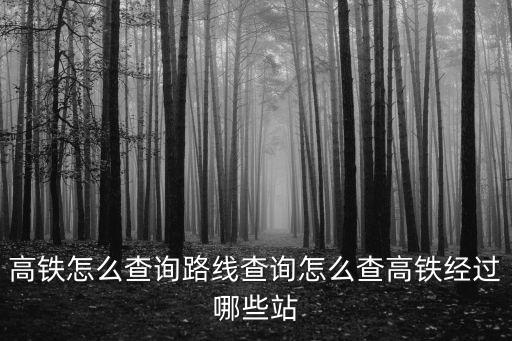 高鐵怎么查詢(xún)路線查詢(xún)?cè)趺床楦哞F經(jīng)過(guò)哪些站