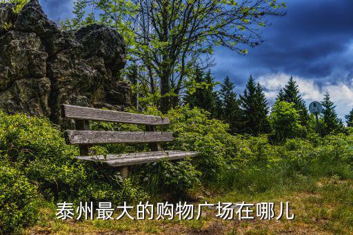 泰州最大的購物廣場在哪兒
