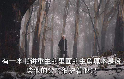 有一本書講重生的里面的主角原本是廢柴他的父親很護著他記