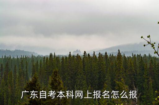 廣東省自考報名，廣東自考本科網上報名怎么報