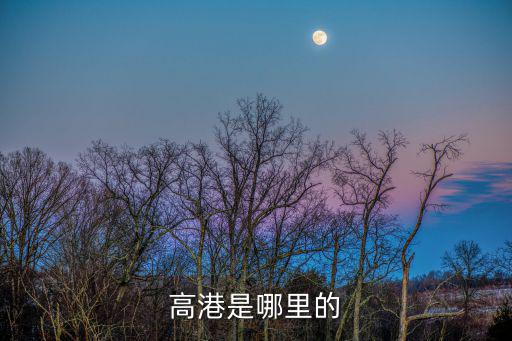 高港是哪里的