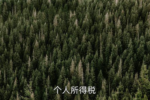 個人所得稅登錄，個人所得稅