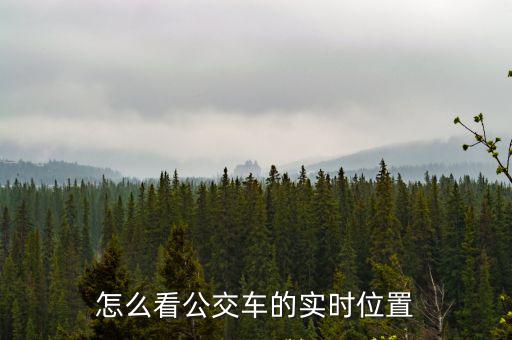 怎么看公交車的實時位置