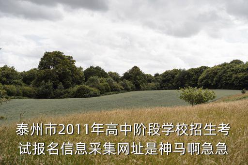 泰州考試網，泰州市2011年高中階段學校招生考試報名信息采集網址是神馬啊急急