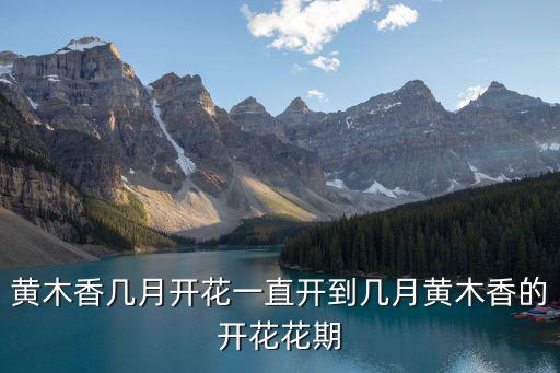 重瓣黃木香，請問網友這兩種蛋黃色的花是叫什么花