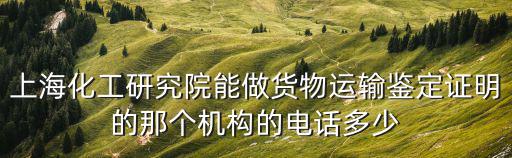 上海化工研究院能做貨物運輸鑒定證明的那個機構的電話多少