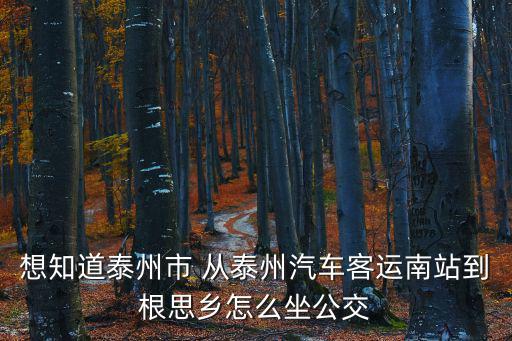 想知道泰州市 從泰州汽車客運(yùn)南站到根思鄉(xiāng)怎么坐公交