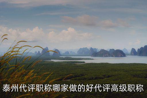 泰州代評職稱哪家做的好代評高級職稱