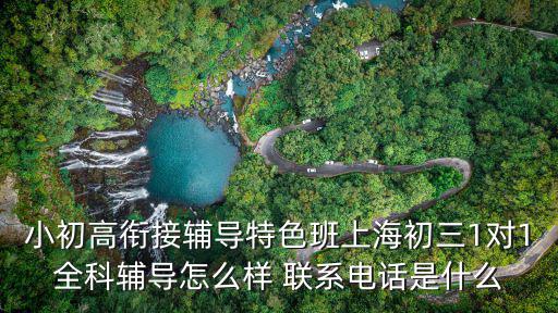 小初高銜接輔導特色班上海初三1對1全科輔導怎么樣 聯系電話是什么