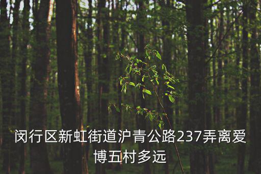 閔行區新虹街道滬青公路237弄離愛博五村多遠