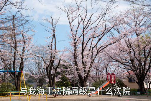 與我海事法院同級是什么法院