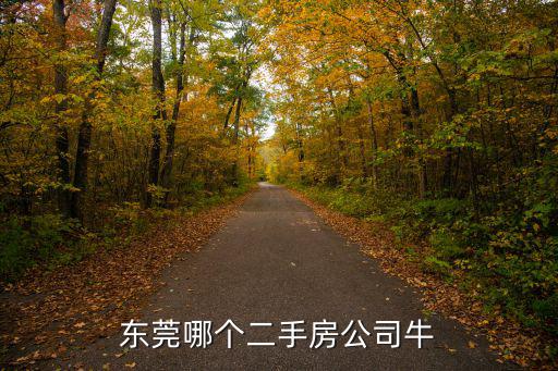 東莞哪個二手房公司牛