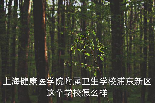 上海健康醫學院附屬衛生學校浦東新區這個學校怎么樣