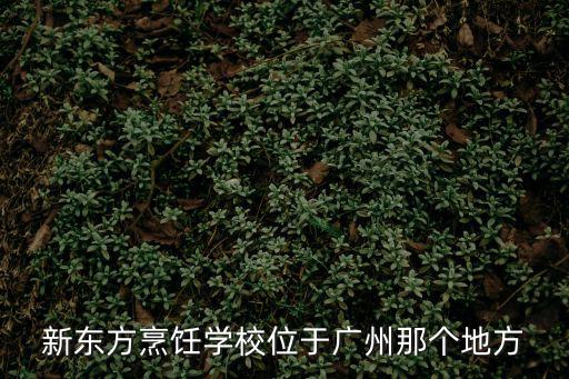 新東方烹飪學(xué)校位于廣州那個地方