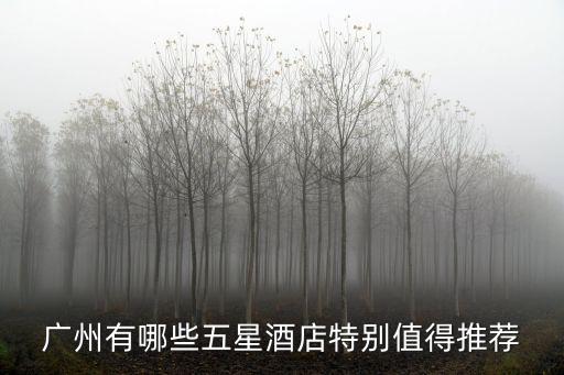 廣州有哪些五星酒店特別值得推薦
