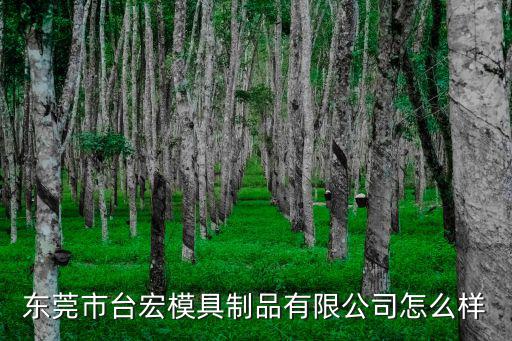 東莞市臺宏模具制品有限公司怎么樣