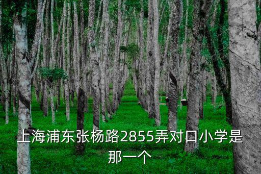 上海浦東張楊路2855弄對口小學是那一個