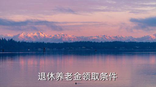 退休養(yǎng)老金領(lǐng)取條件