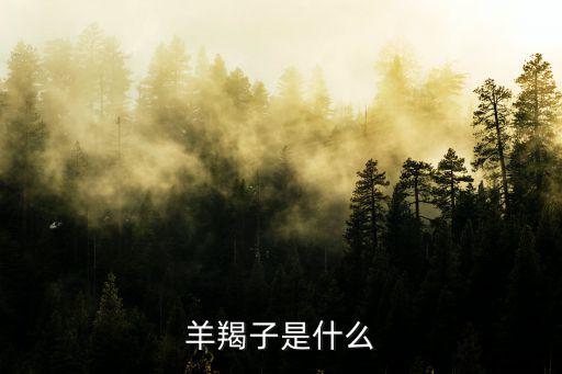 羊羯子是什么