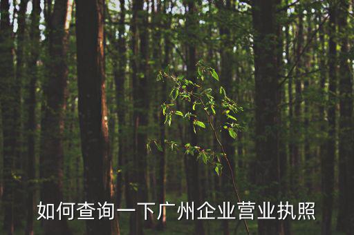 廣州市工商局企業查詢，廣州市工商局企業查詢怎樣查