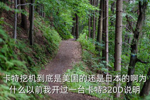 卡特挖機到底是美國的還是日本的啊為什么以前我開過一臺卡特320D說明
