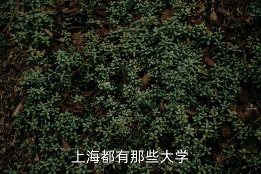 上海所有的大學，上海市有些什么大學