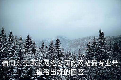 東莞做網(wǎng)站，請(qǐng)問(wèn)東莞哪家網(wǎng)絡(luò)公司做網(wǎng)站最專業(yè)希望給出好的回答