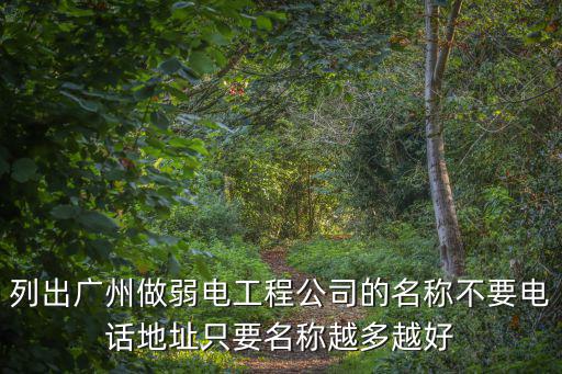 列出廣州做弱電工程公司的名稱不要電話地址只要名稱越多越好
