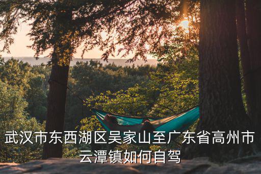 武漢市東西湖區(qū)吳家山至廣東省高州市云潭鎮(zhèn)如何自駕