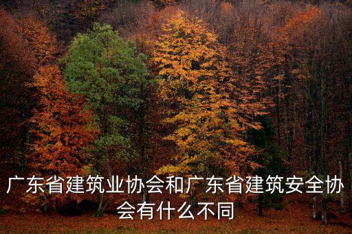 廣東省建筑業協會和廣東省建筑安全協會有什么不同