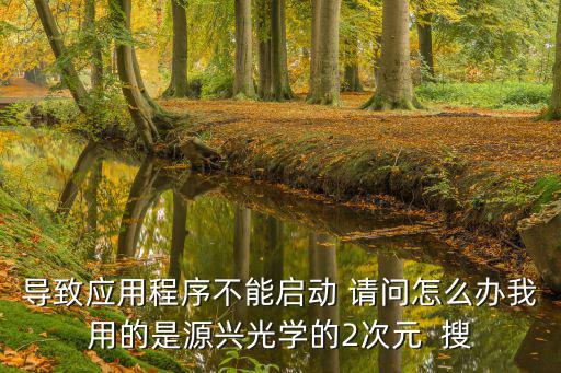 導致應用程序不能啟動 請問怎么辦我用的是源興光學的2次元  搜