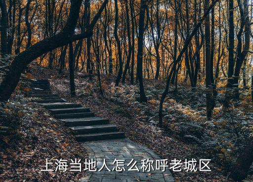 上海老城廂，上海目前保留完整的有生活氣息的老弄堂有哪些