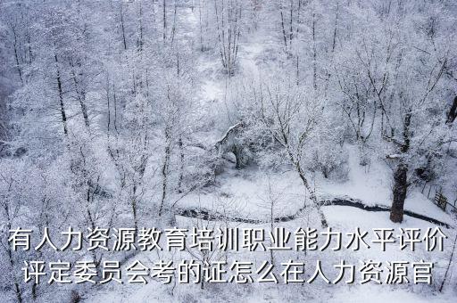 有人力資源教育培訓職業能力水平評價評定委員會考的證怎么在人力資源官