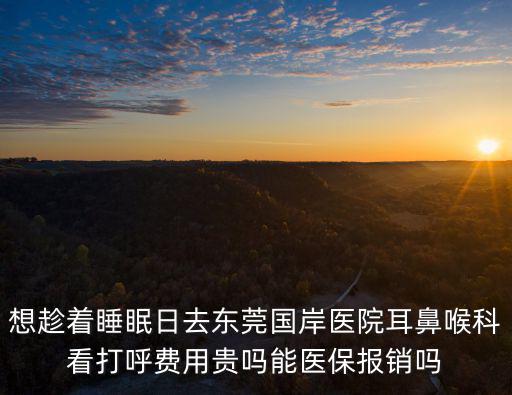 東莞口岸耳鼻喉正規嗎，東莞國境口岸醫院耳鼻喉的醫生技術怎么樣