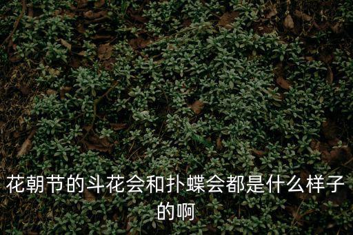 花朝節的斗花會和撲蝶會都是什么樣子的啊